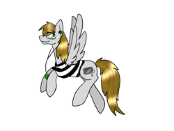 Size: 1024x768 | Tagged: safe, oc, oc only, oc:max, pegasus, pony, clothes, cutie mark, flying, ipod, shirt, spread wings, toaster