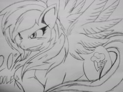 Size: 1280x960 | Tagged: safe, artist:petanoprime, derpibooru import, rainbow dash, pegasus, pony, 20% cooler, female, grin, lineart, mare, smiling, solo, text, traditional art