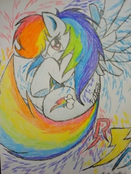 Size: 720x960 | Tagged: safe, artist:petanoprime, derpibooru import, rainbow dash, pegasus, pony, female, looking back, mare, solo, text, traditional art