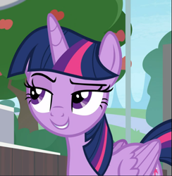 Size: 917x939 | Tagged: safe, derpibooru import, screencap, twilight sparkle, twilight sparkle (alicorn), alicorn, pony, 2 4 6 greaaat, cropped, female, lidded eyes, mare, raised eyebrow, smiling, smirk, smuglight sparkle, solo, twibitch sparkle