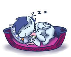 Size: 1280x1024 | Tagged: safe, artist:sugar morning, oc, oc only, oc:slipstream, oc:sugar morning, dog pony, pegasus, pony, behaving like a dog, boofy, collar, cute, doodle, eyes closed, female, male, oc x oc, ocbetes, pet bed, pillow, plushie, shipping, simple background, sleeping, stallion, straight, sugarstream, tongue out, white background, zzz