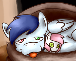 Size: 1280x1024 | Tagged: safe, artist:sugar morning, oc, oc only, oc:slipstream, oc:sugar morning, dog pony, pegasus, pony, boof, boofy, boofy is a good boy, cute, dogbed, doll, female, heterochromia, male, oc x oc, plushie, shipping, sleepy, stallion, sugarstream, tired, toy, woof