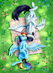 Size: 1860x2574 | Tagged: safe, artist:fixielle, artist:rysunkowasucharia, rainbow dash, soarin', pegasus, pony, collaboration, blanket, chest fluff, duo, female, field, flower, grass, male, mare, nuzzling, on back, shipping, snuggling, soarindash, spread wings, stallion, straight, wings