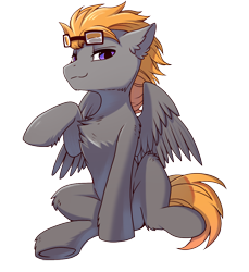 Size: 1100x1200 | Tagged: safe, artist:swaybat, oc, oc only, oc:aj, pegasus, pony, 2019 community collab, derpibooru community collaboration, goggles, male, simple background, solo, stallion, transparent background