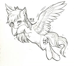 Size: 1280x1144 | Tagged: safe, artist:swaybat, oc, oc:kej, pegasus, pony, cute, hooves up, looking at you, male, monochrome, sketch, solo, spread wings, stallion, wings