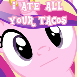 Size: 4800x4800 | Tagged: safe, edit, princess cadance, alicorn, pony, :, absurd resolution, close-up, everything is ruined, face, hi anon, image macro, looking at you, meme, pure unfiltered evil, sonata fuel, taco
