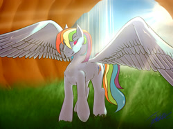 Size: 3309x2478 | Tagged: safe, artist:elzzombie, rainbow dash, pegasus, pony, backwards cutie mark, crepuscular rays, looking at you, solo, spread wings, sunlight, waterfall, wink