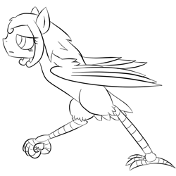 Size: 800x800 | Tagged: safe, artist:happydeadpony, artist:teb, oc, oc only, oc:cloepty, bird, original species, creature, harpony, harpy, monochrome, solo, wings