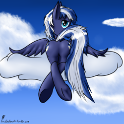 Size: 1280x1280 | Tagged: safe, artist:frecklesfanatic, oc, oc only, oc:night sky, pegasus, pony, both cutie marks, cloud, cloudy, dock, female, hooves, looking at you, plot, sky, solo, underhoof