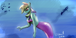 Size: 1024x510 | Tagged: safe, artist:duh-veed, derpibooru import, rainbow dash, anthro, mermaid, merpony, midriff, seashell, shell bra, underwater