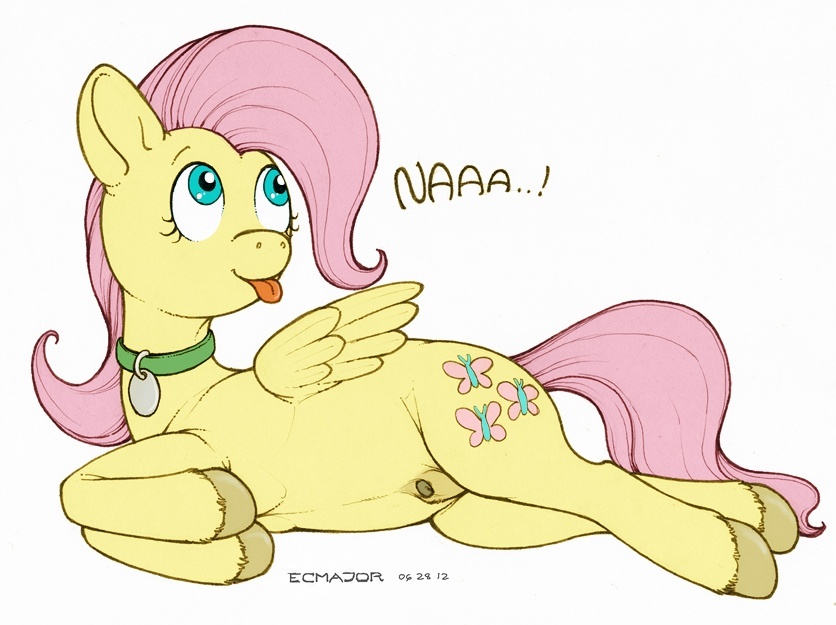 ecmajor, fluttershy, oc, oc:futashy, pegasus, pony, collar, futa, futashy