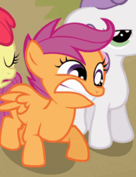 Size: 294x383 | Tagged: safe, screencap, apple bloom, scootaloo, sweetie belle, one bad apple, animated, faic, gif, gritted teeth, shifty eyes