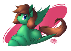 Size: 700x500 | Tagged: safe, artist:skyheavens, oc, oc only, oc:viridian, pegasus, pony, commission, cute, solo