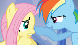 Size: 1856x1080 | Tagged: safe, screencap, fluttershy, rainbow dash, pegasus, pony, boop, female, mare, wings