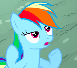 Size: 383x338 | Tagged: safe, rainbow dash, pegasus, pony, pinkie pride, bruh, meme, solo