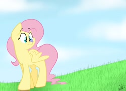 Size: 1052x760 | Tagged: safe, artist:befishproductions, fluttershy, butterfly, pegasus, pony, signature, solo