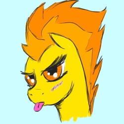 Size: 950x950 | Tagged: safe, artist:arcanelexicon, spitfire, pegasus, pony, blue background, blushing, bust, female, mare, simple background, solo, tongue out, two toned mane, yellow coat