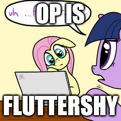 Size: 250x250 | Tagged: safe, fluttershy, twilight sparkle, pegasus, pony, caption, computer, image macro, laptop computer, meme, op, op is fluttershy, text