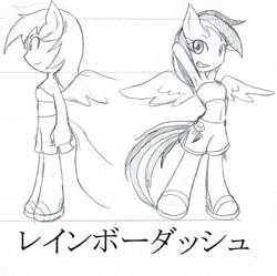 Size: 598x596 | Tagged: safe, artist:rougebat, derpibooru import, rainbow dash, anthro, belly button, japanese, monochrome, pixiv, solo