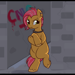 Size: 500x500 | Tagged: safe, artist:lulubell, derpibooru import, babs seed, pony, alley, bipedal, graffiti, piercing, solo