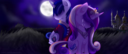 Size: 1900x800 | Tagged: safe, artist:evehly, derpibooru import, princess cadance, shining armor, alicorn, pony, unicorn, crying, female, male, mare, moon, night, sad, stallion