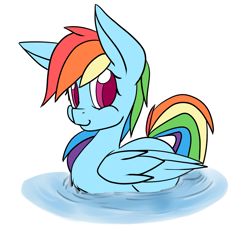 Size: 2000x2000 | Tagged: safe, artist:billysan727, rainbow dash, pegasus, pony, behaving like a bird, behaving like a duck, cute, dashabetes, rainbow duck, solo, water