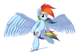 Size: 1023x731 | Tagged: safe, artist:sheandog, rainbow dash, pegasus, pony, large wings, simple background, solo