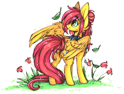 Size: 692x527 | Tagged: safe, artist:tenebristayga, oc, oc only, pegasus, pony, flower, simple background, solo, transparent background