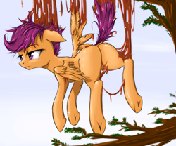 Size: 960x800 | Tagged: safe, artist:madhotaru, scootaloo, hanging, plot, scootabutt, solo, stuck, suspended, tree sap