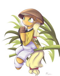 Size: 850x1075 | Tagged: safe, artist:alasou, derpibooru import, applejack, earth pony, pony, bamboo, clothes, monk, sitting, solo, tea