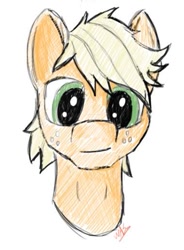 Size: 379x514 | Tagged: safe, artist:greyscaleart, derpibooru import, applejack, applejack (male), earth pony, pony, portrait, rule 63, sketch, solo