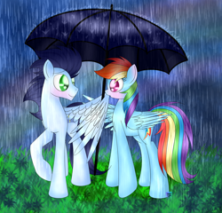 Size: 1024x985 | Tagged: safe, artist:northlights8, rainbow dash, soarin', pegasus, pony, backwards cutie mark, female, male, rain, shipping, soarindash, straight, umbrella, wet