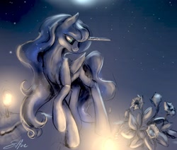 Size: 1280x1087 | Tagged: safe, artist:silfoe, derpibooru import, princess luna, alicorn, pony, flower, lunadoodle, night, solo