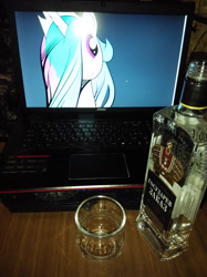 Size: 1280x1707 | Tagged: safe, artist:madhotaru, princess celestia, irl, meta, photo, russian, vodka, waifu dinner