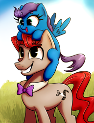 Size: 1305x1696 | Tagged: safe, artist:sigmanas, oc, oc only, oc:bedbug, oc:cross-cut, earth pony, pegasus, pony, bowtie, cute, grass, grin, looking up, ocbetes, open mouth, pair, pony hat, siblings, smiling, squee, summer, щщоки