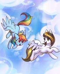 Size: 2626x3200 | Tagged: safe, artist:mirroredsea, derpibooru import, rainbow dash, oc, pegasus, pony, cloud, commission, duo, flying, pegasus oc, sky, sun ray, unnamed oc, white coat