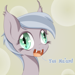 Size: 2500x2500 | Tagged: safe, artist:an-m, oc, oc only, oc:whisper, bat pony, pony, derp, solo