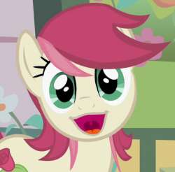 Size: 250x246 | Tagged: safe, edit, screencap, roseluck, earth pony, pony, faic, looking at you, open mouth, ponyface, solo