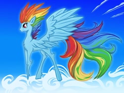 Size: 1280x960 | Tagged: safe, artist:liz-kotlin, derpibooru import, rainbow dash, pegasus, pony, cloud, female, mare, on a cloud, sky, smiling, solo, spread wings, wings