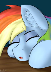 Size: 1240x1754 | Tagged: safe, artist:llametsul, derpibooru import, rainbow dash, pegasus, pony, cute, dashabetes, ear fluff, female, head, mare, sleeping, solo