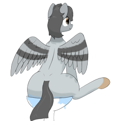 Size: 1500x1500 | Tagged: safe, artist:codras, oc, oc only, oc:peep, bird pone, pegasus, pony, behaving like a bird, bird bath, plot, simple background, solo, transparent background