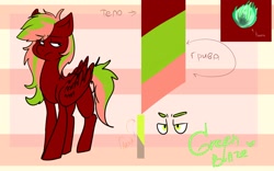 Size: 2560x1600 | Tagged: safe, oc, oc only, oc:green blaze, pony, cute, reference sheet, solo