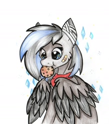 Size: 1872x2135 | Tagged: safe, artist:zira, oc, oc only, pegasus, pony, black skin, blue eye, clothes, cookie, cute, female, food, pony oc, two colour hair