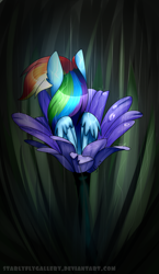 Size: 1163x2000 | Tagged: safe, artist:starlyflygallery, rainbow dash, pegasus, pony, back, flower, rain, rear view, sitting, solo