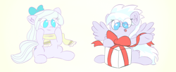 Size: 1280x522 | Tagged: safe, artist:junks, cloudchaser, flitter, bow, christmas, clothes, hair bow, present, scarf