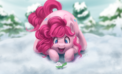 Size: 1889x1142 | Tagged: safe, artist:amishy, pinkie pie, earth pony, pony, behaving like a cat, both cutie marks, cute, diapinkes, face down ass up, female, flower, happy, mare, open mouth, prone, smiling, snow, snowdrop (flower), solo, winter