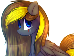 Size: 1024x767 | Tagged: safe, artist:starlyflygallery, oc, oc only, pony, solo