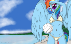 Size: 1920x1200 | Tagged: safe, artist:therealfate, rainbow dash, anthro, armpits, beach, bellyring, bikini, clothes, solo, sunglasses, swimsuit, volleyball