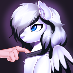 Size: 2000x2000 | Tagged: safe, artist:yasuokakitsune, oc, oc only, oc:swift ghost, human, pegasus, pony, collar, commission, hand, solo focus, ych result