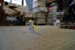 Size: 1600x1067 | Tagged: safe, artist:patoriotto, derpy hooves, pegasus, pony, female, mare, ponies in real life